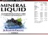 Mineraldrink Mineral Liquid 1000ml 1 Liter ergibt 80 Liter Geschmacksrichtung Johannisbeere BIERSTEDT SPORTS